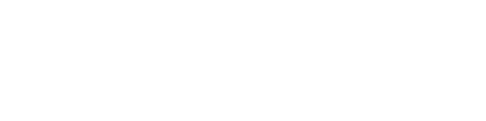 Nordic Sport Society